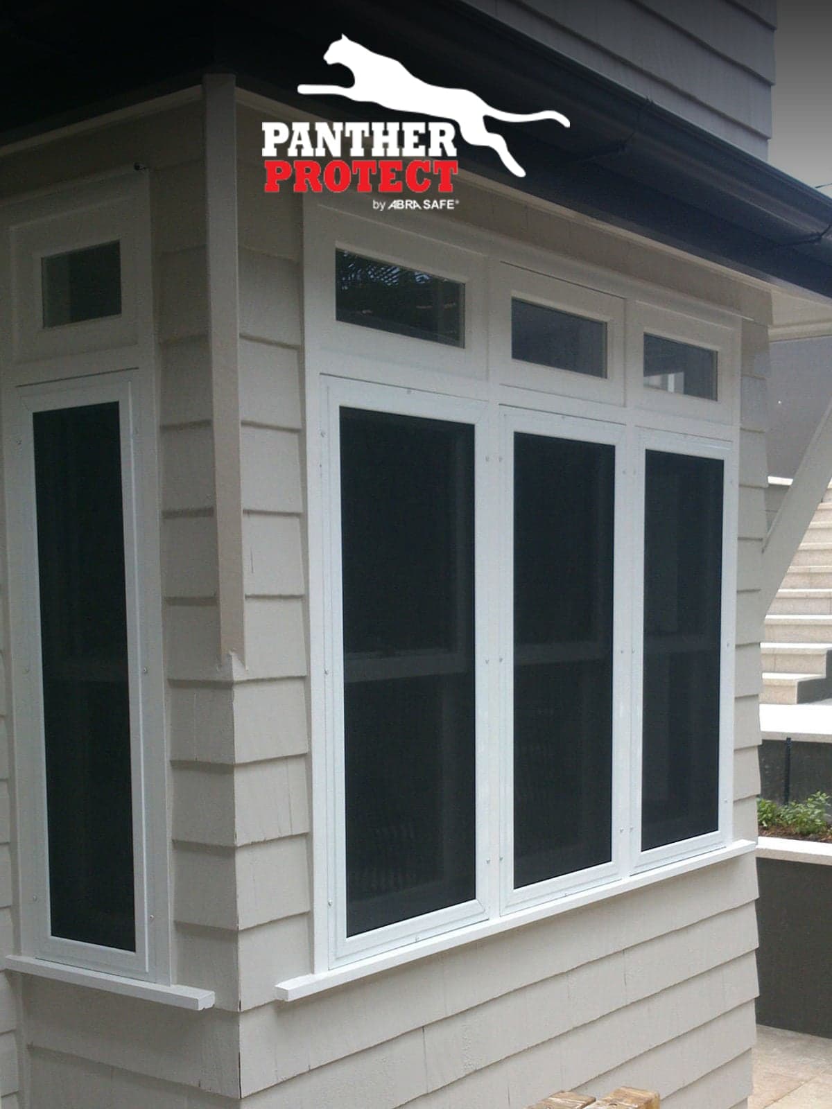 Panther Protect / Widescreen